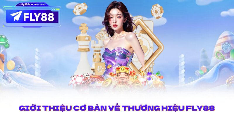 Giới thiệu cơ bản về thương hiệu FLY88